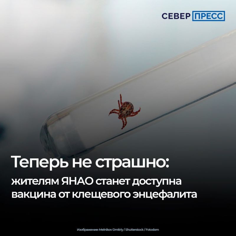 Несмотря на то, что Ямал не входит в список эндемичных территорий и массовая вакцинация здесь не проводится, спрос на защиту от клещей среди жителей региона растет с каждым годом