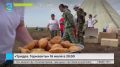«Тундра. Горизонты»: документальная лента о жизни кочевников Ямала выходит на экраны