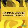 В округе отменён режим чрезвычайной ситуации в лесах, введённый в связи с большим количеством пожаров