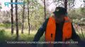 Аптека в лесу: в Приуралье обновляют солонцы для диких животных