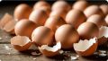 Яичная скорлупа: находка для садоводов и хозяек