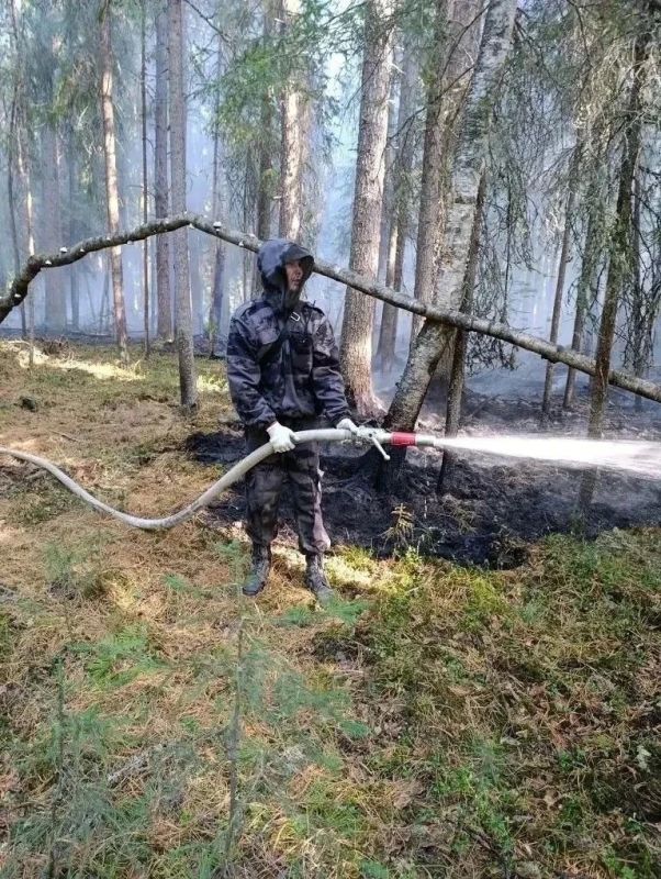 Пожары на Ямале: ситуация под контролем Пожары на Ямале: ситуация под контролем