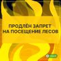 До 6 августа в Надымском районе и по всему округу продлены ограничения на посещение лесов и въезд туда на транспорте