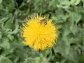 Доброе утро, Салехард!. Лето, как долго мы его ждём, и как быстро оно проходит! В субботу, 18 июля, давайте прочувствуем все прелести этого времени года