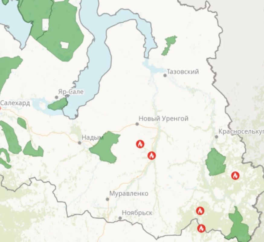 На Ямале действует 5 лесных пожаров