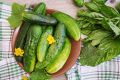 Почему нужно обрезать кончики огурцов и нельзя не есть кочерыжку капусты