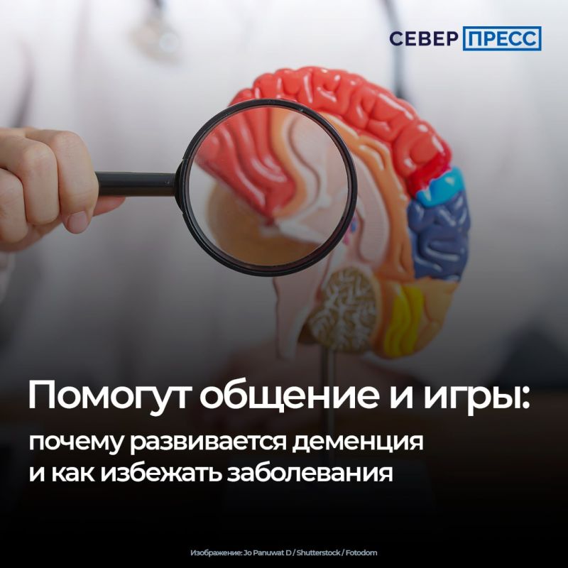 Деменция — это деградация когнитивных функций: мышления, интеллекта, памяти, восприятия, внимания