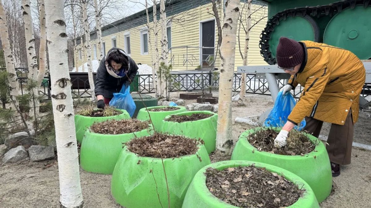 Почти 13 тысяч ямальцев приняли участие во всероссийской акции “Зеленая Весна-2026” Почти 13 тысяч ямальцев приняли участие во всероссийской акции “Зеленая Весна-2026”