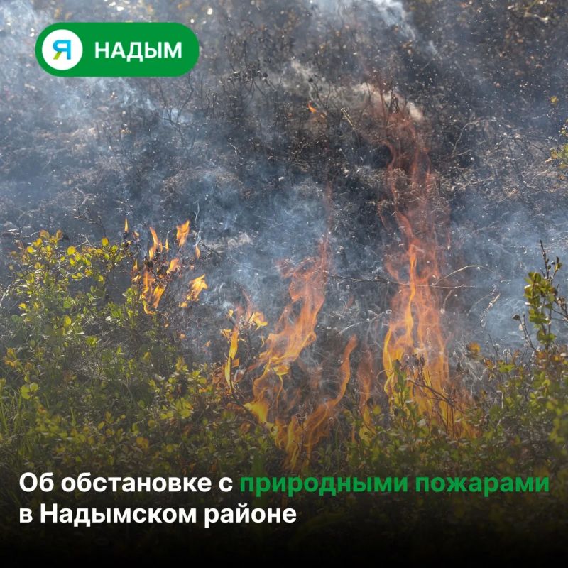 По состоянию на 21 июля в Надымском районе зарегистрировано 76 природных пожаров, из них ликвидировано 73 природных пожара на общей площади более 10000 Га