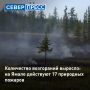 Количество возгораний выросло: на Ямале действуют 17 природных пожаров