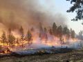 Спасатели сдерживают огонь в Красноселькупском районе