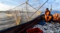 Более 2,8 тыс. тонн рыбы добыли ямальские предприятия в первом полугодии 2026 года