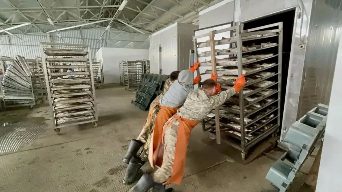 Рыбодобыча в Ямало-Ненецком автономном округе: результаты первого полугодия 2026 года Рыбодобыча в Ямало-Ненецком автономном округе: результаты первого полугодия 2026 года