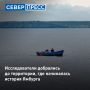 ��������� ���������� ������ �������� � ������� ����� �����, ��� � XIX ���� ���������� ������� �������