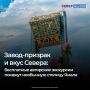 Жительницы Салехарда Лидия Квашнина и Марина Кузьменкова стали триумфаторами проекта «Проводники смыслов. Экскурсоводы»