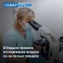 В Надыме чувствуется запах гари — причина в лесных пожарах в районе