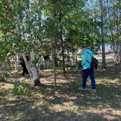 Надымчане объединились, чтобы сделать город чище Надымчане объединились, чтобы сделать город чище
