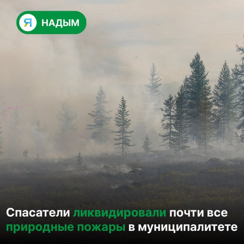 В Надымском районе локализован крупный природный пожар