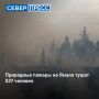 �� ���� 26 ���� �� ����� ������������ ���������� 23 ������ �������, ����������� � �����������������, ���������, ������������ � ��������� �������