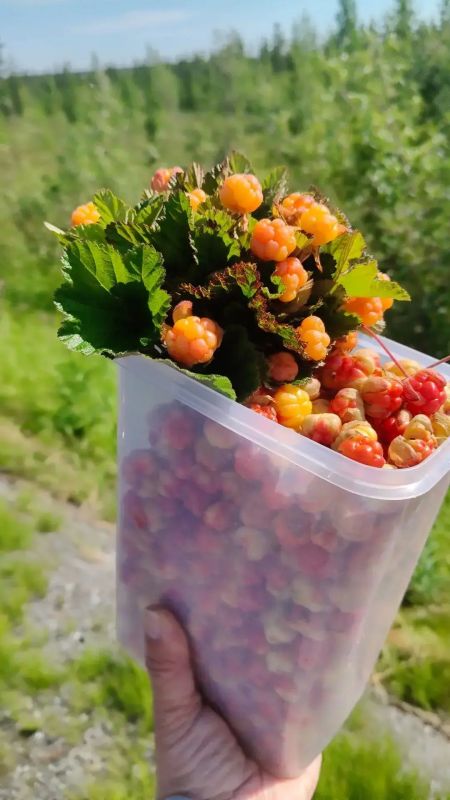 #НиДняБезДвижения. Июль у команды департамента строительства и жилищной политики Ямала выдался понастоящему активным! Никаких «отлежаться на выходных» — только движение, спорт и заряд бодрости на всю неделю #НиДняБезДвижения. Июль у команды департамента строительства и жилищной политики Ямала выдался понастоящему активным! Никаких «отлежаться на выходных» — только движение, спорт и заряд бодрости на всю неделю