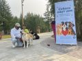 В Новом Уренгое волонтеры приюта для животных «Полярная лапа» провели акцию «Приют на выезде»