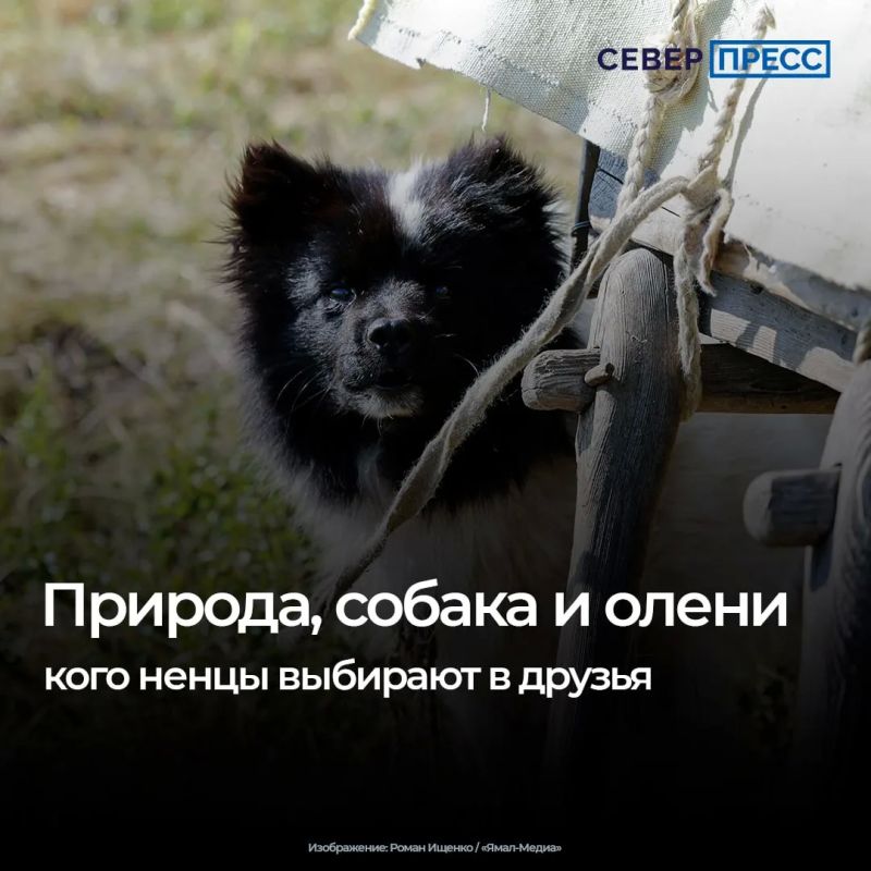 В конце июля весь мир отмечает один из самых человечных праздников — Международный день дружбы