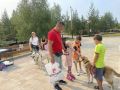 В Новом Уренгое волонтеры приюта «Полярная лапа» вышли на улицы города