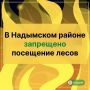 В округе вновь введён режим ЧС регионального характера в лесах