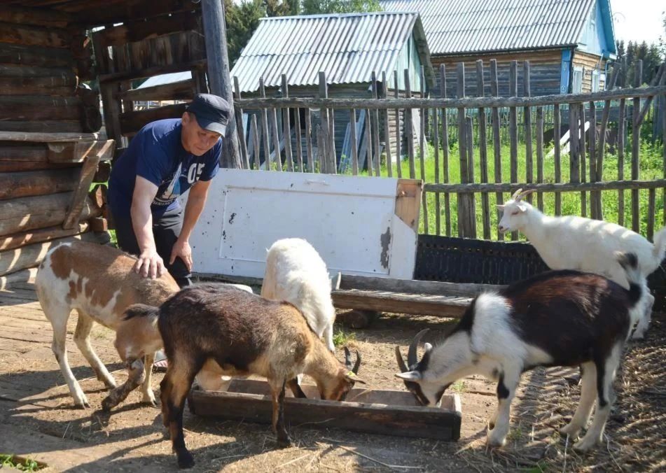Ветеран СВО из Овгорта открыл фермерское хозяйство Ветеран СВО из Овгорта открыл фермерское хозяйство