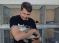 Команда «Ямал-Медиа. Приуралье» помогла приютскому коту найти любящего хозяина