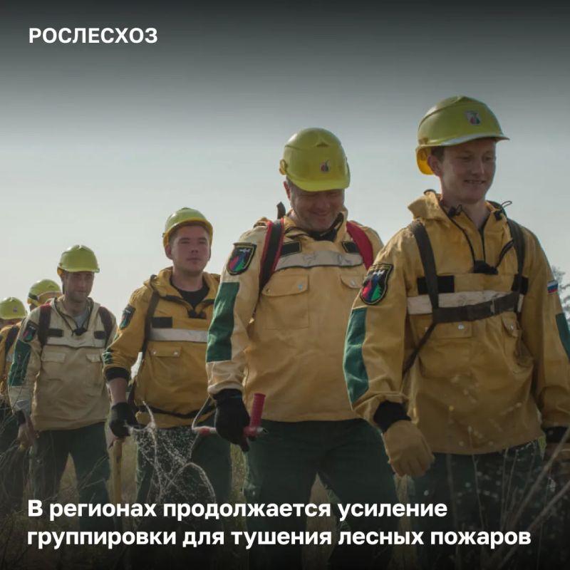 На 06:00 в Красноярском крае велись работы по тушению 106 лесных пожаров 42,4 тыс