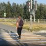 Три новых светофора для пешеходов появятся в Салехарде