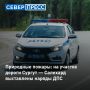 629 человек тушат 104 природных пожара в ЯНАО