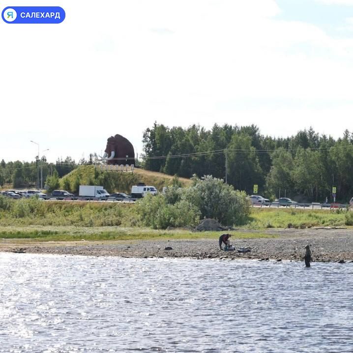 Паромы взяли курс на осень в Салехарде Паромы взяли курс на осень в Салехарде