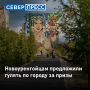 �� �������� �� ������ ������� ������� ������ �������