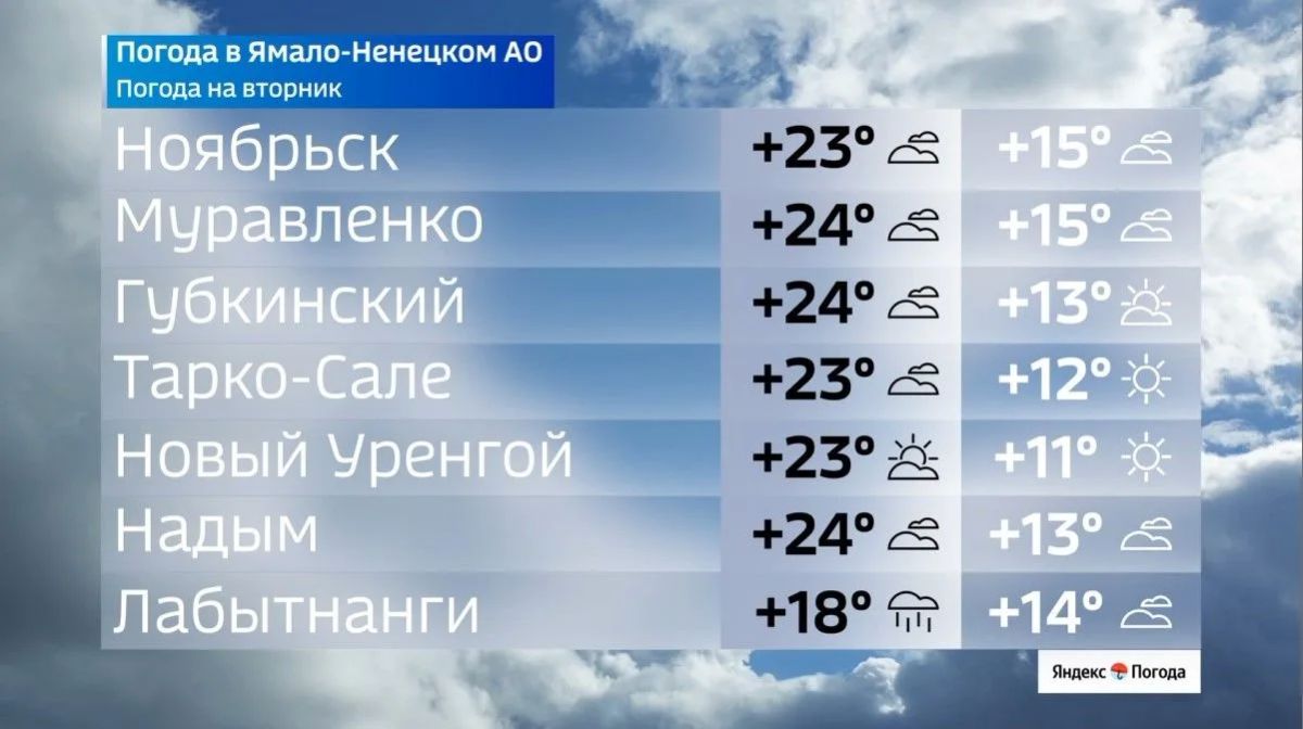 Сильные ливни в городах ЯНАО 4 августа предскажут обилие осенних грибов