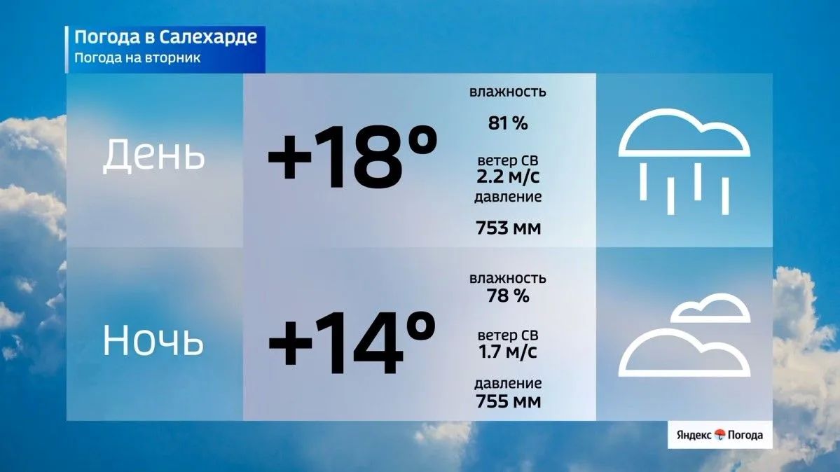 Сильные ливни в городах ЯНАО 4 августа предскажут обилие осенних грибов Сильные ливни в городах ЯНАО 4 августа предскажут обилие осенних грибов