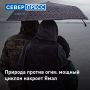 �� ���� ����������� ������ � ��������� �������