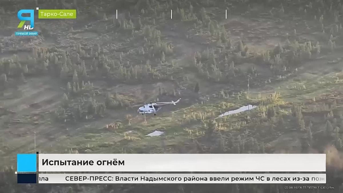 Лето в дыму: как Ямал борется с лесными пожарами