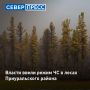 В лесах Приуральского района начал действовать режим чрезвычайной ситуации муниципального характера