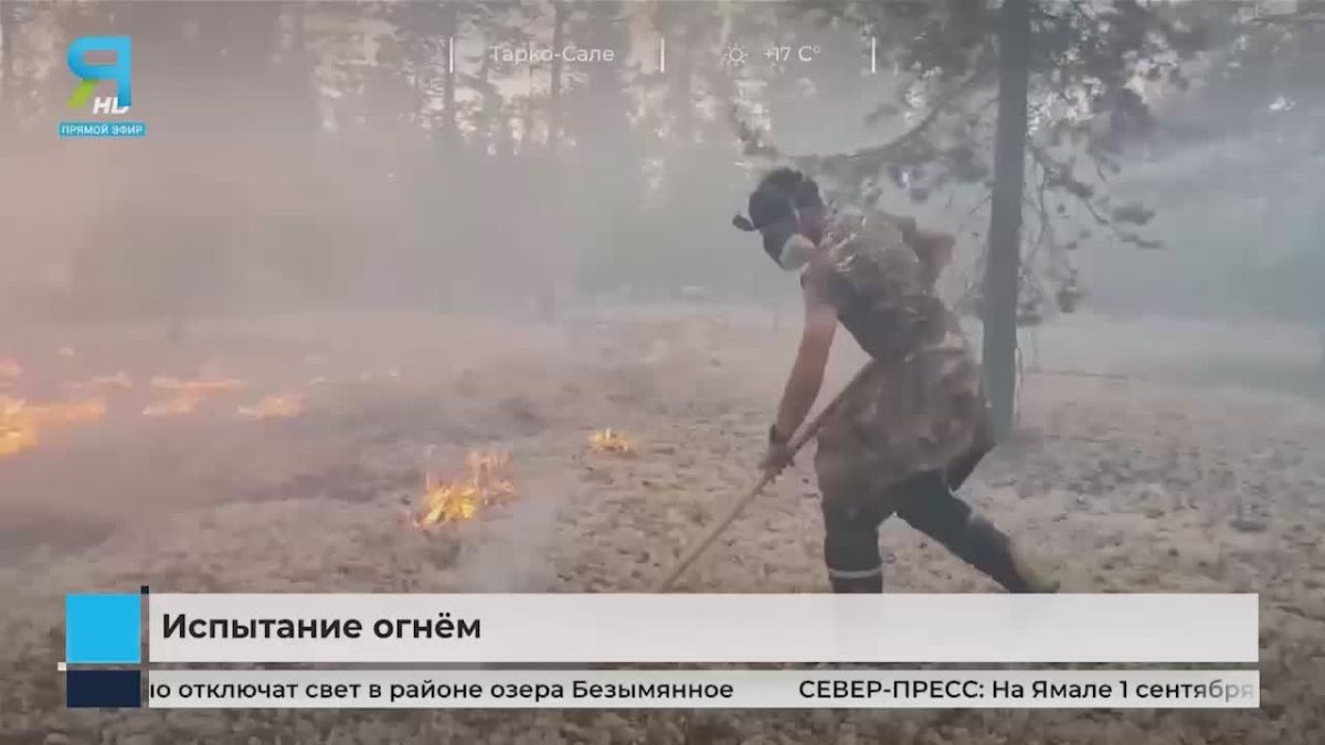 Ямал борется с лесными пожарами и задымлением