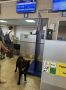 ��������� ��������� ��������� �������� �������� �� ������ � ������