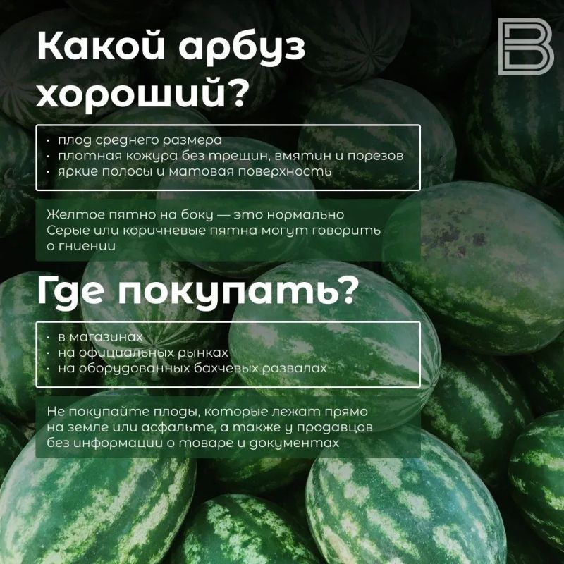 ����� ������ ������: ��� ������� � ������� ����� ������ �����