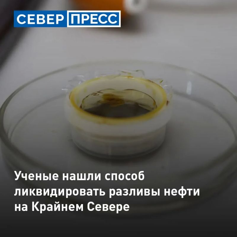 Ученые разработали экологичный способ борьбы с разливами нефти