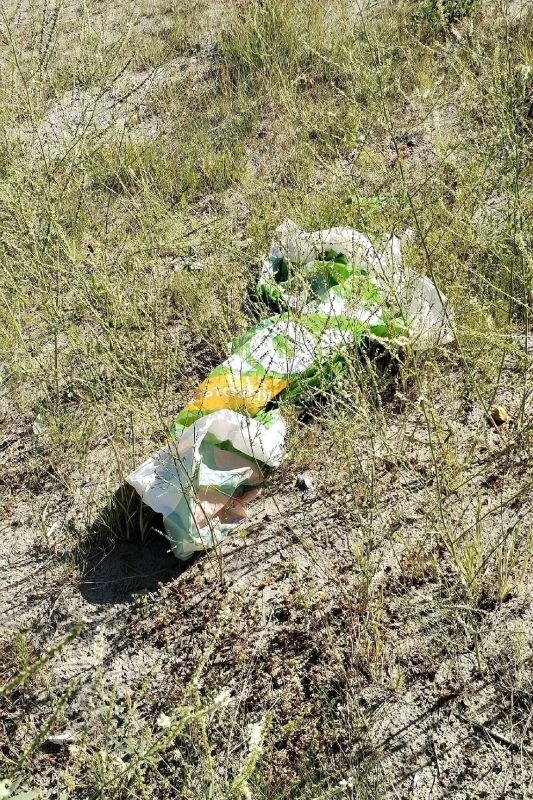 В Новом Уренгое тундра задыхается от мусора В Новом Уренгое тундра задыхается от мусора