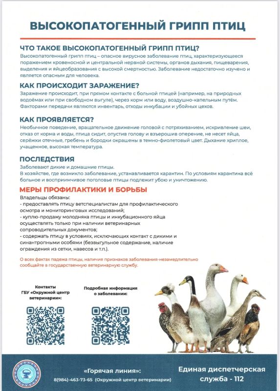 Стоп, грипп!. По всей России ветслужбы запустили месячник борьбы с птичьим гриппом