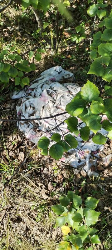 В Новом Уренгое тундра задыхается от мусора В Новом Уренгое тундра задыхается от мусора
