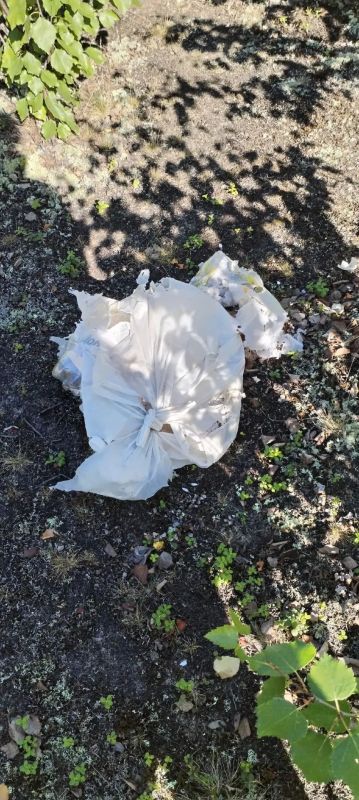 В Новом Уренгое тундра задыхается от мусора В Новом Уренгое тундра задыхается от мусора