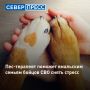 В Новом Уренгое заработал семейный клуб «Счастливы вместе» для семей участников СВО