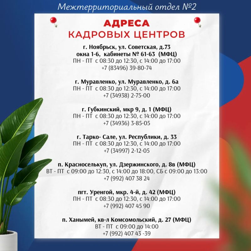 Ищете работу или хотите сменить профессию? Обращайтесь в Кадровые центры Ямала! Ищете работу или хотите сменить профессию? Обращайтесь в Кадровые центры Ямала!